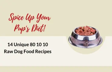 14 Home Made 80/10/10 Raw Dog Food Recipes